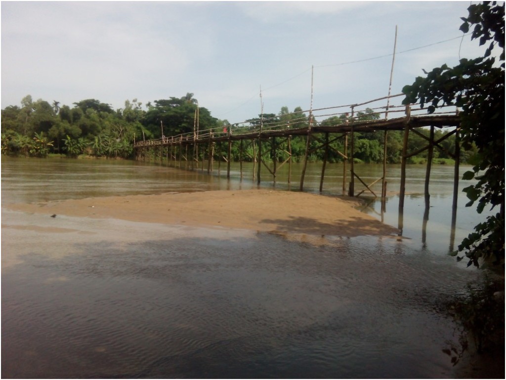 Bamboo-Bridge-2