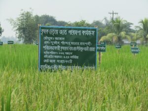 Conserving Agrobiodiversity for food security