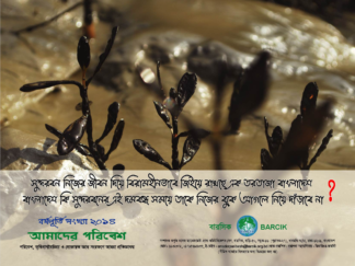 Special Issue of Amader Poribesh