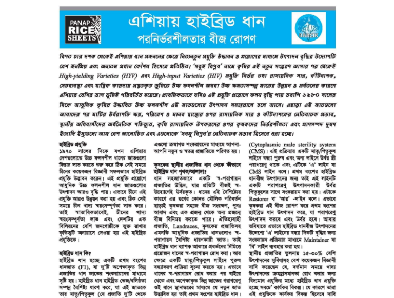 hybrid rice in asia-2020