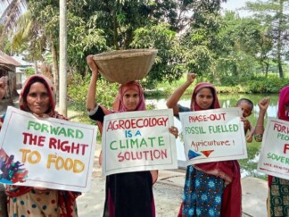 BARCIK’s Annual report 2024