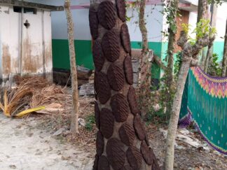 Agroecology and food soverigenty (2)