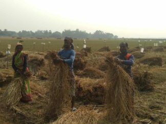 Agroecology and food soverigenty (3)