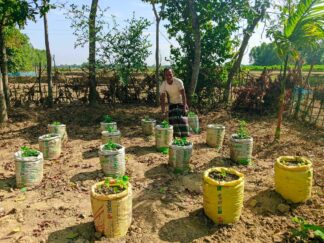 Agroecology and food soverigenty (4)