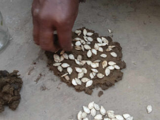 Agroecology and food soverigenty (6)