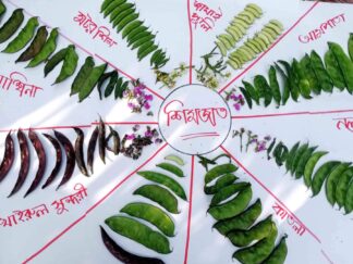 Agroecology and food soverigenty (8)