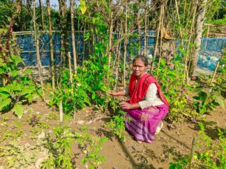 Inclusive and Pluristic Society (7)