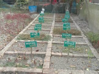 People Led Development (3)