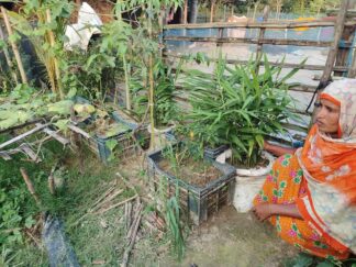 Urban Transformation and Resilience (1)