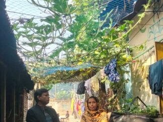 Urban Transformation and Resilience (4)