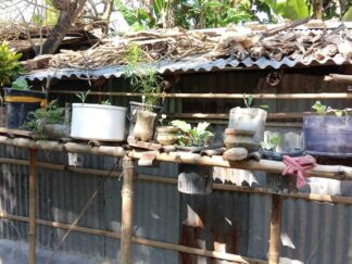 Urban Transformation and Resilience (6)