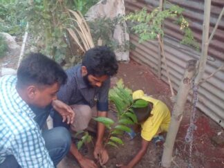 Urban Transformation and Resilience (8)